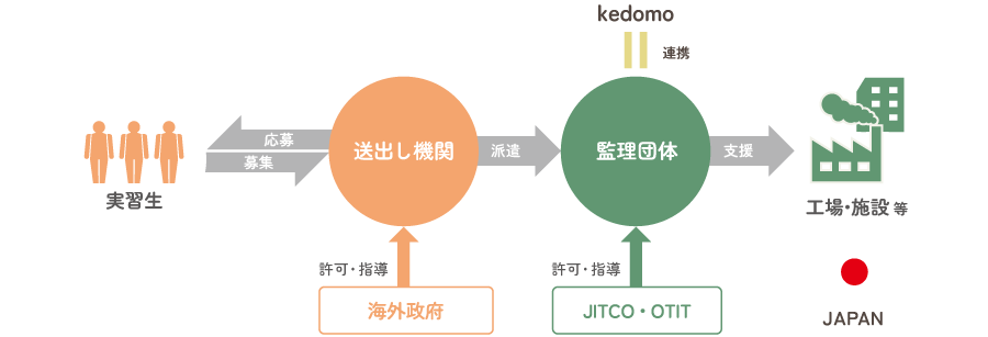 kedomoの技能実習連携図